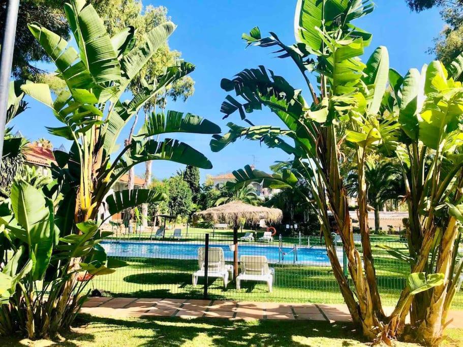 Puerto Banus Eddie Suite Μαρμπέλλα Εξωτερικό φωτογραφία